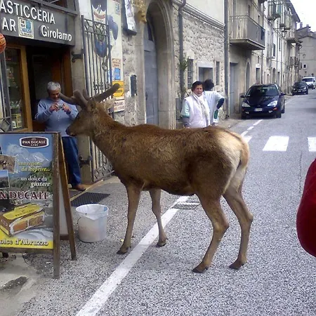 Hotel Il Vecchio Pescatore Villetta Barrea