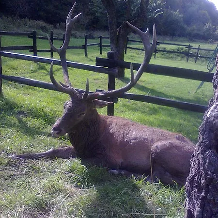 Il Vecchio Pescatore Hotel Villetta Barrea