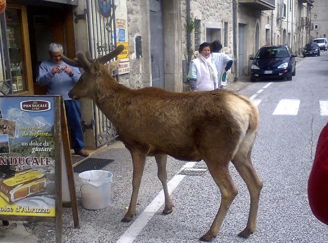 Hotel Il Vecchio Pescatore Villetta Barrea
