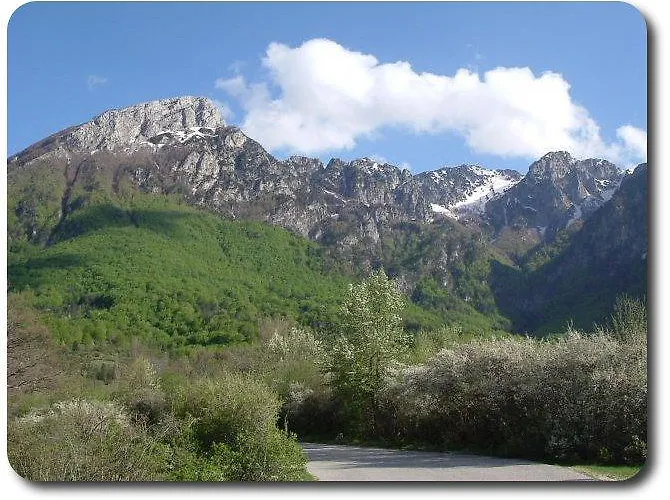 Il Vecchio Pescatore