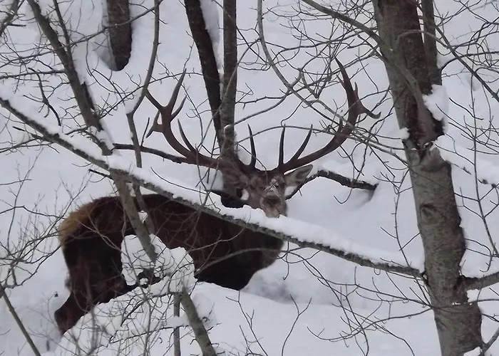 Hotel Il Vecchio Pescatore Villetta Barrea