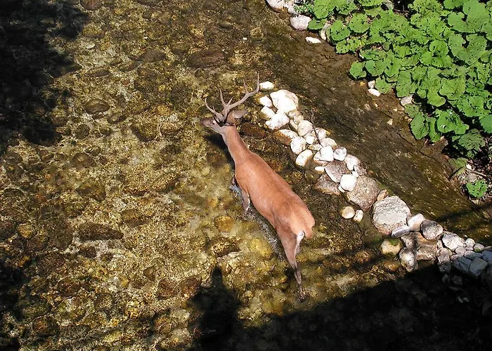 Il Vecchio Pescatore Villetta Barrea