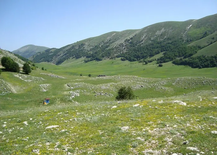 Il Vecchio Pescatore