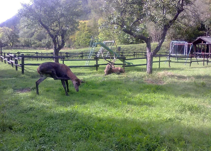 Il Vecchio Pescatore Villetta Barrea